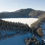 Les Genets Du Sancy *