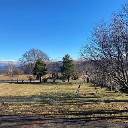 Les Genêts Du Sancy