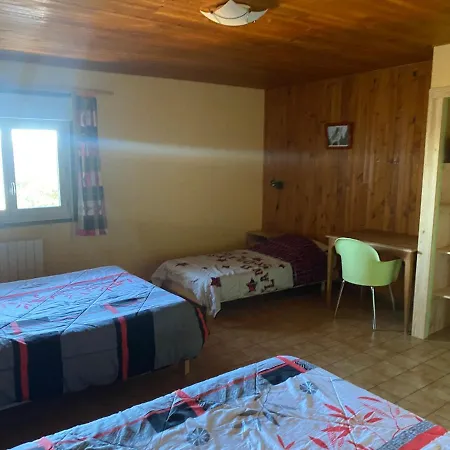 Les Genêts Du Sancy *