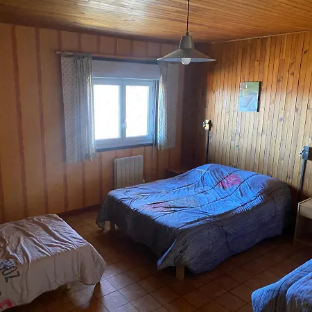 Les Genêts Du Sancy