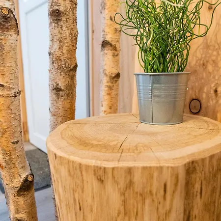 Hébergement de vacances Les Genêts Du Sancy Besse-et-Saint-Anastaise